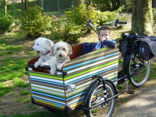 1013028_199130230239156_22477711_n na rowerze z psem